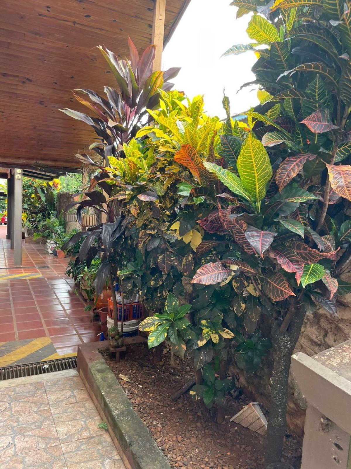 Residencial Arcoiris Hotel Puerto Iguazú Buitenkant foto